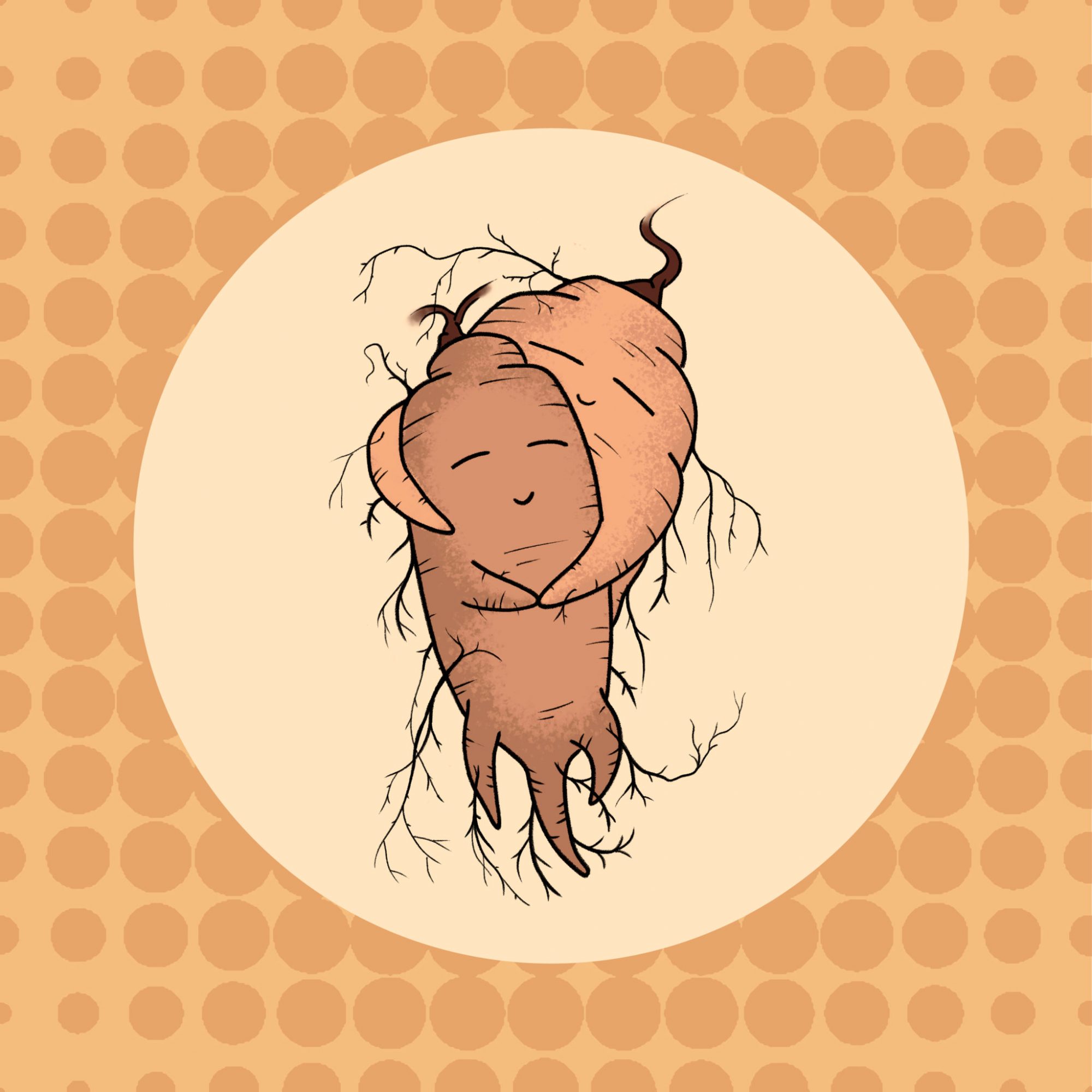 Red Ginseng vs White Ginseng What's the Difference?