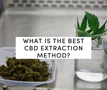CBD Extraction Methods