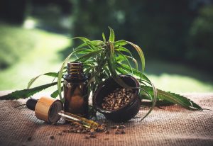 cbd tincture with hemp plant