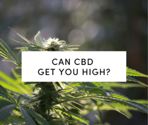 Can CBD get you high