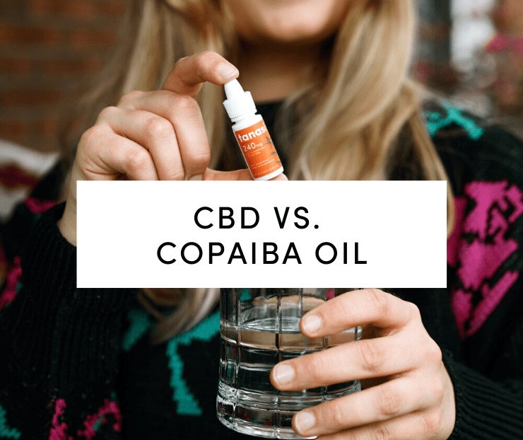 CBD vs. Copaiba Oil with Tanasi Water Soluble in background