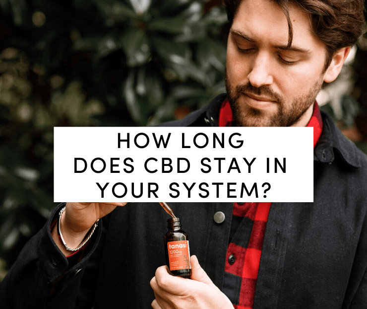 How long does CBD stay in your system_