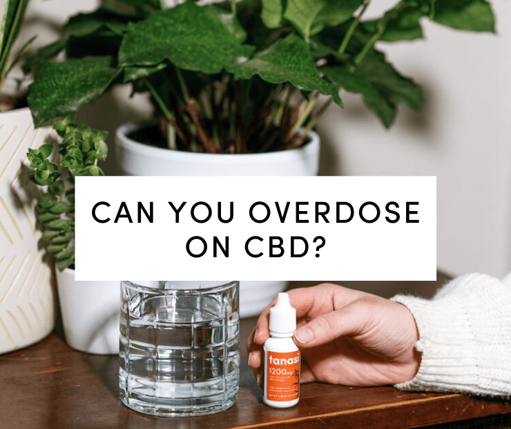 Can You Overdose on CBD?