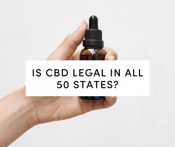 Is CBD Legal In North Carolina? CBD Legal tanasi