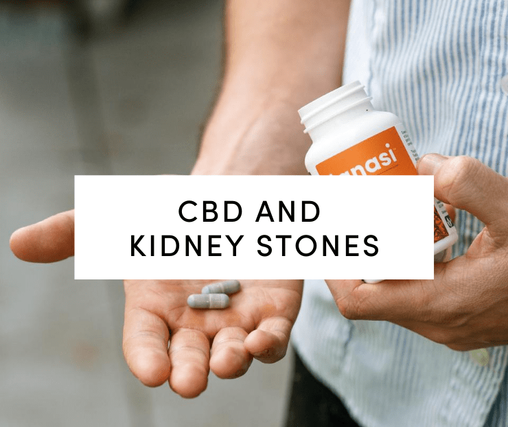 CBD and Kidney Stones: Man holding CBD capsules