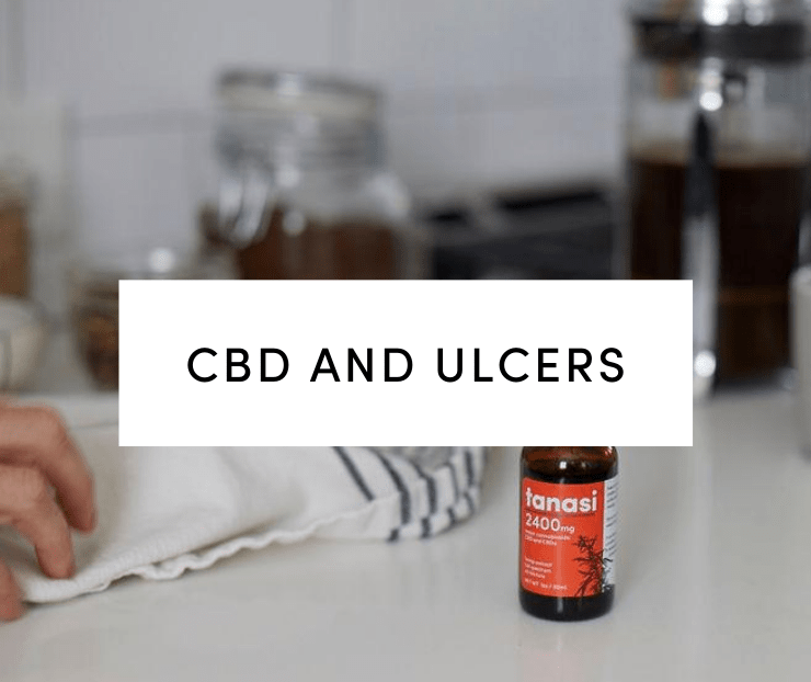 CBD and Ulcers: Tanasi CBD tincture on kitchen counter