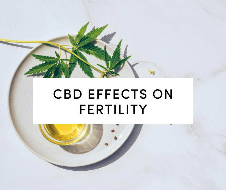 CBD Effects on Fertility: Hemp leaf and CBD oil