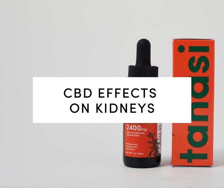 CBD oil effects on kidneys