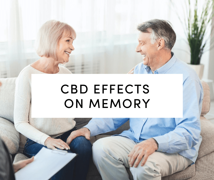 CBD Effects on Memory: Elderly couple happily talking