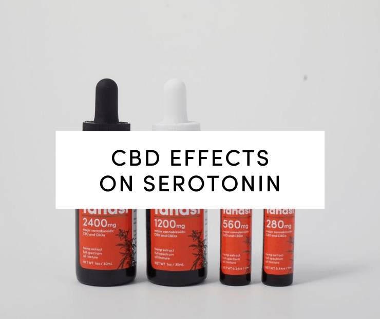 CBD Effects on Serotonin: CBD Tinctures