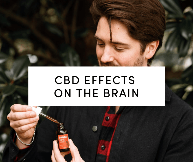 CBD Effects on Brain: Man in flannel shirt with cbd tincture