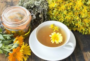 St. John's Wort tea and flowers