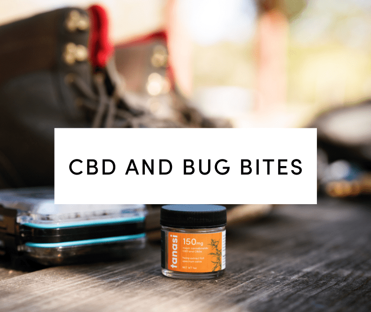 cbd and bug bites: tanasi cbd salve on porch