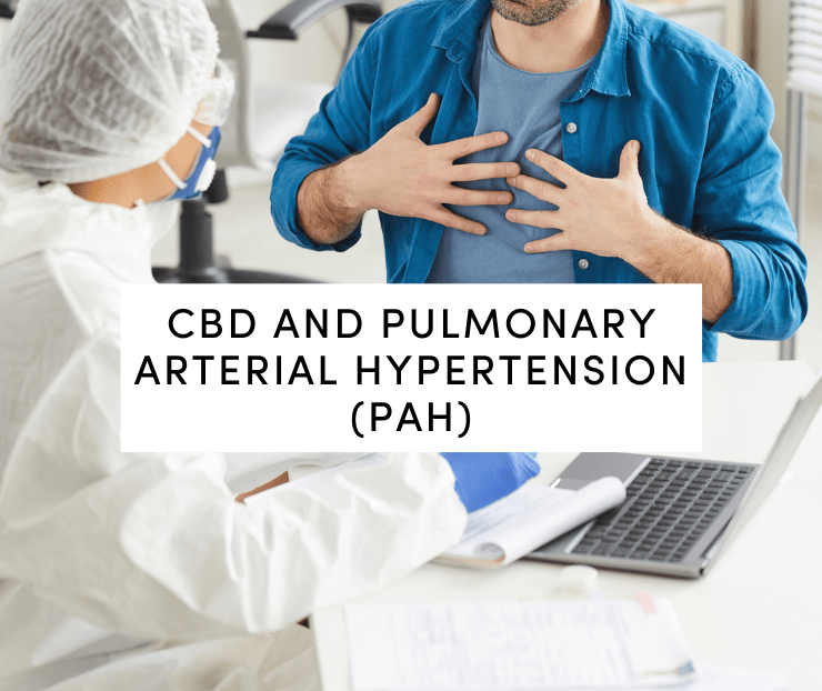 cbd and pulmonary arterial hypertension
