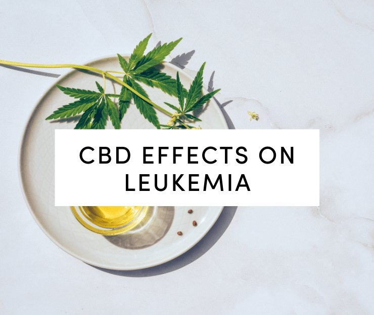 cbd effects on leukemia: cbd oil and leaf