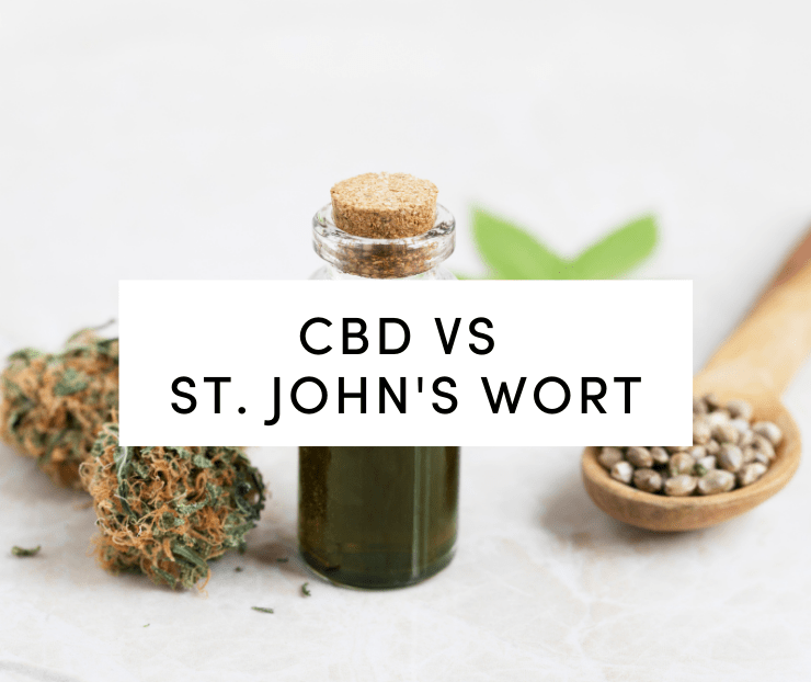 cbd vs St. John's wort: cbd oil and seeds
