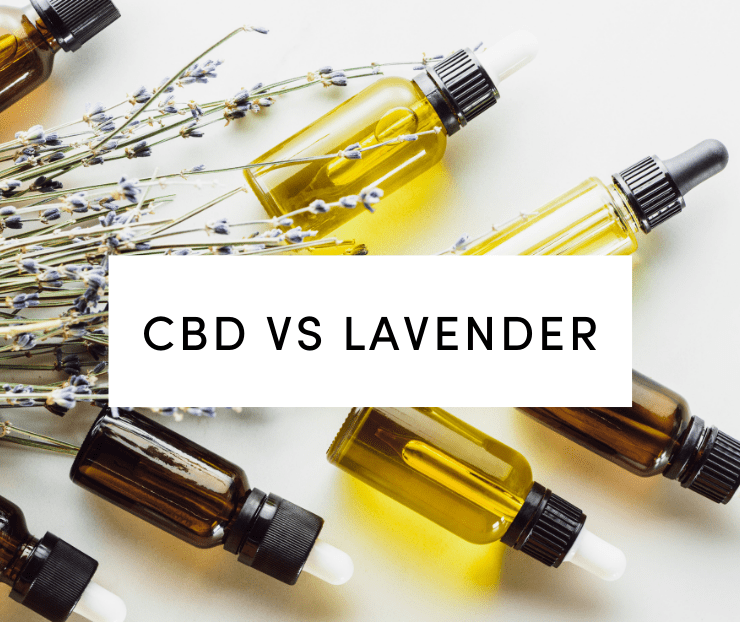 cbd vs lavender: lavender and cbd oil on white background