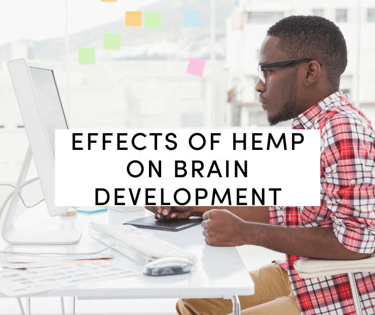 effects of hemp on brain development