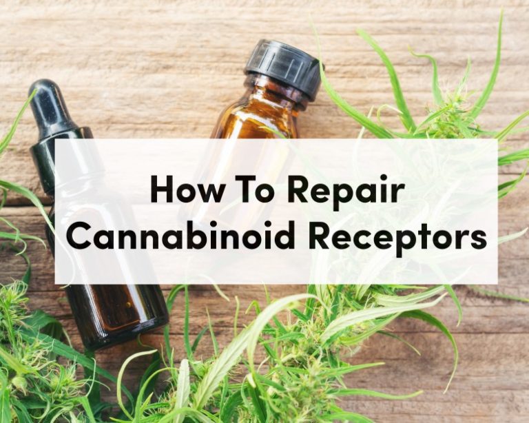 How To Repair Cannabinoid Receptors