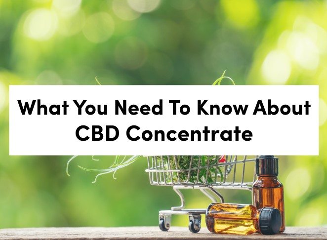 what you need to know about cbd concentrate