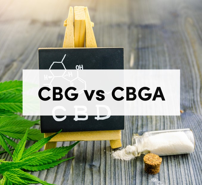 CBG vs CBGA