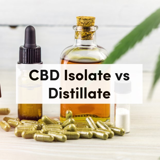 CBD Isolate vs Distillate