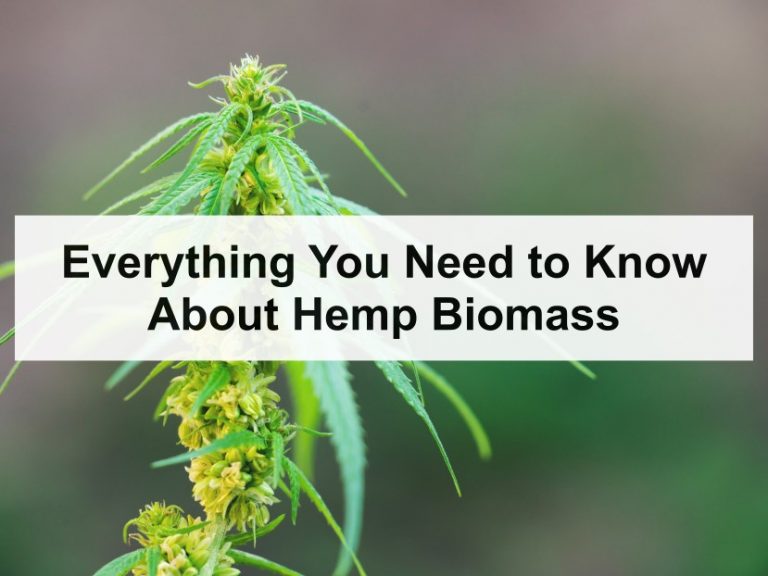 everything you need to know about hemp biomass