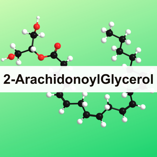 2-ArachidonoylGlycerol - What Is It?