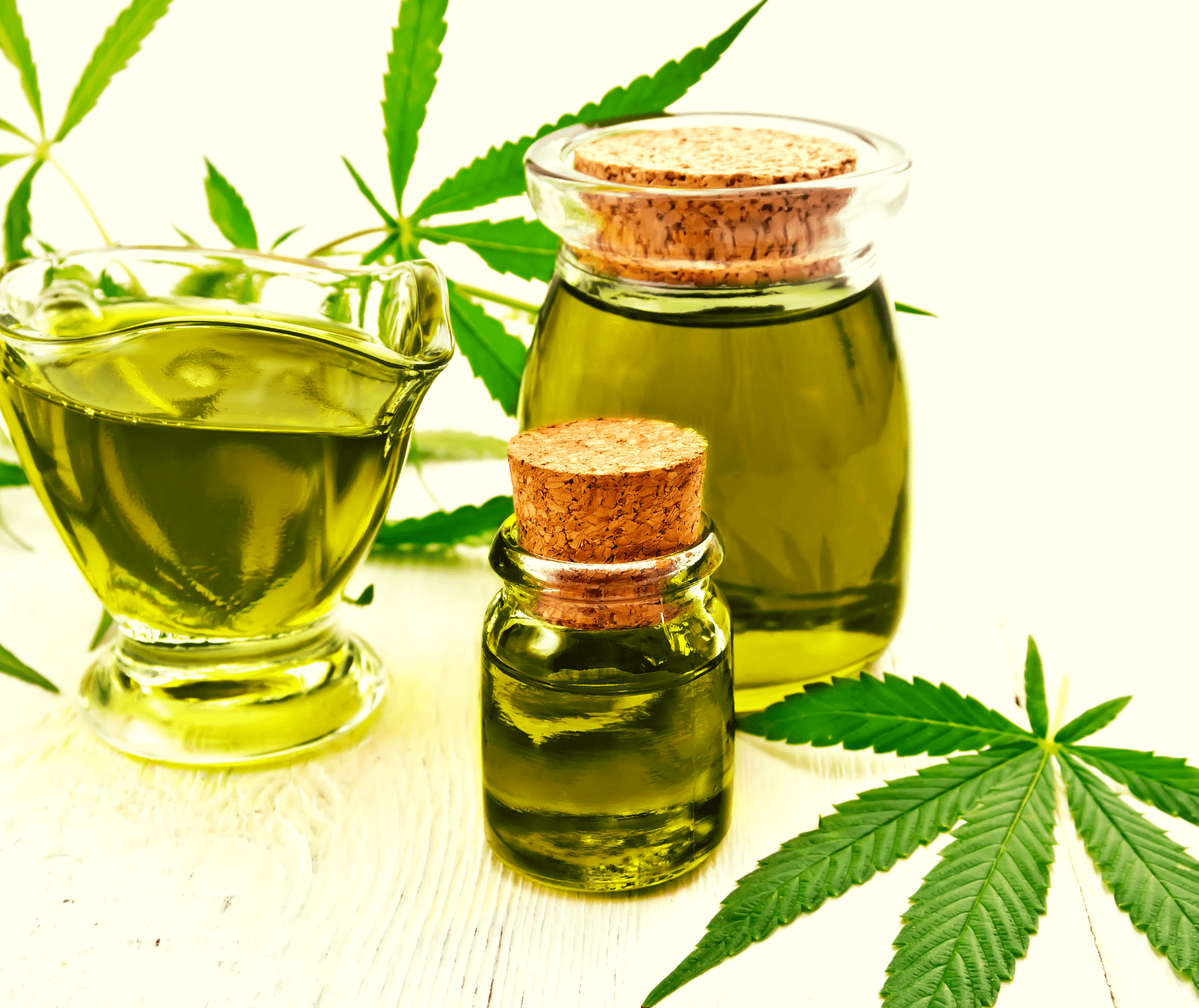 Is CBDA Oil the Next Major Natural Remedy from Cannabis?