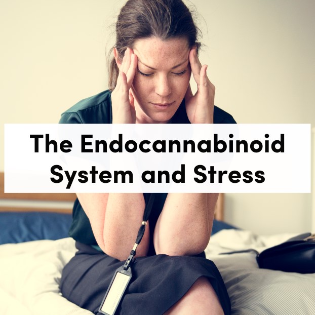 The Endocannabinoid System and Stress
