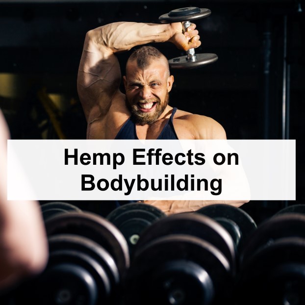Hemp Effects on Bodybuilding