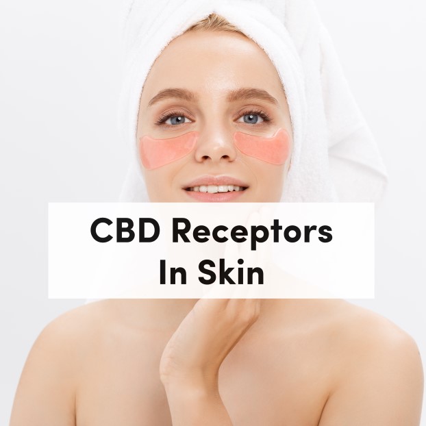 CBD Receptors In Skin