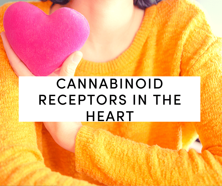 cannabinoid receptors in the heart