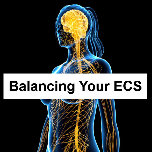 Balancing Your ECS – How to Go About It