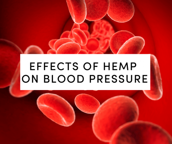 Effects of Hemp On Brain Development The Research Is Promising