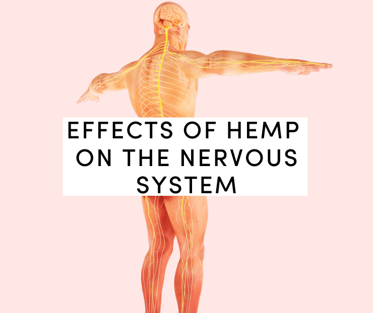 effects of hemp on the nervous system