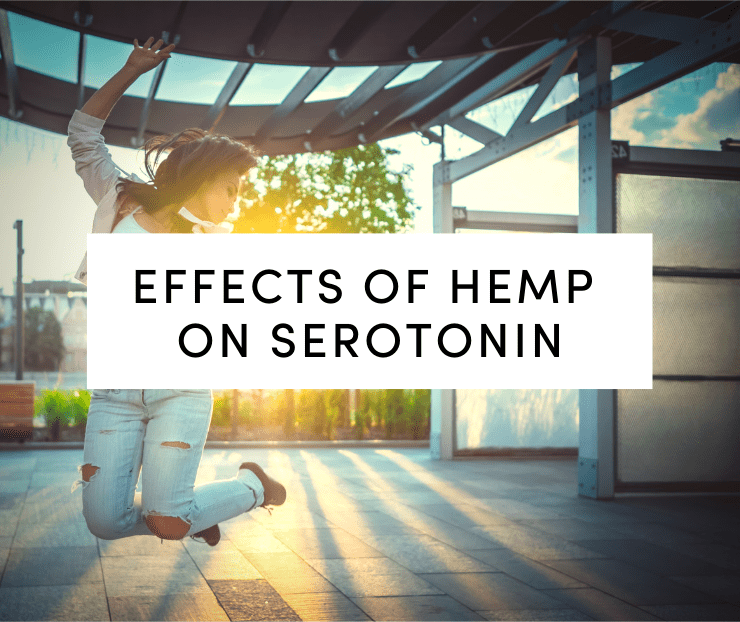 effects of hemp on serotonin