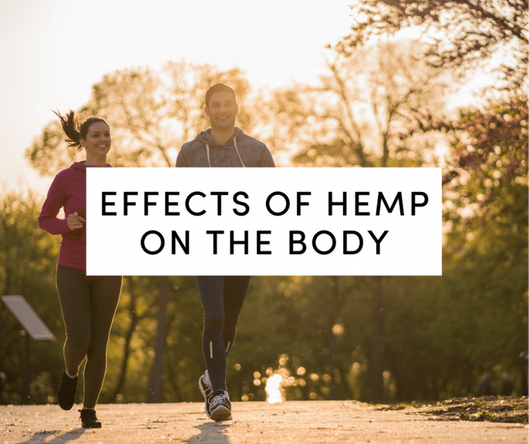 effects of hemp on the body