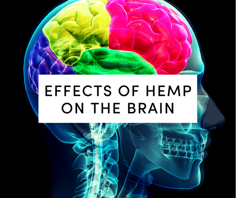 effects of hemp on the brain