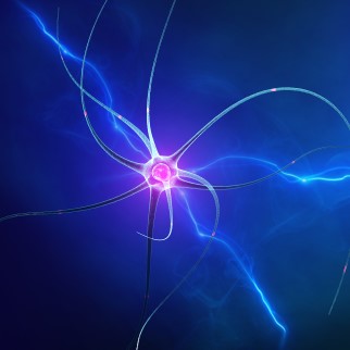 Hemp Effects on Memory - hemp might stimulate neurogenesis, the birth of a new neuron