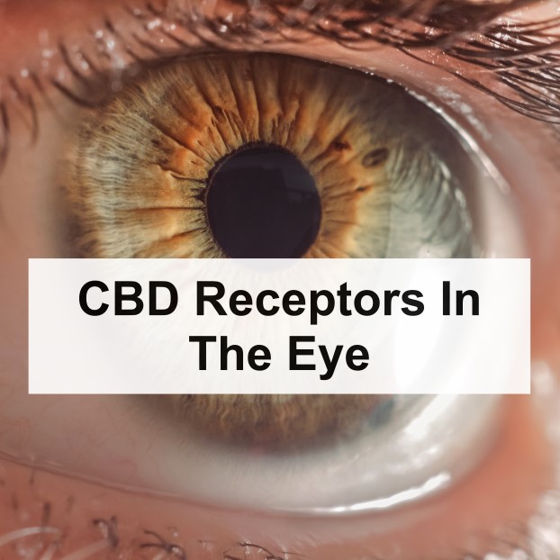 CBD Receptors In The Eye