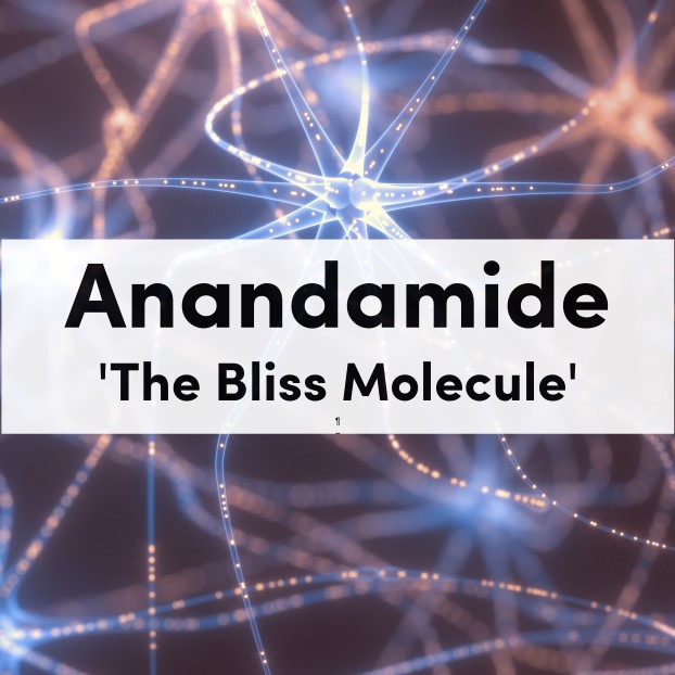 Anandamide – 'The Bliss Molecule'