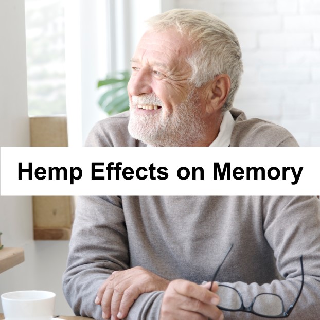 Hemp Effects on Memory