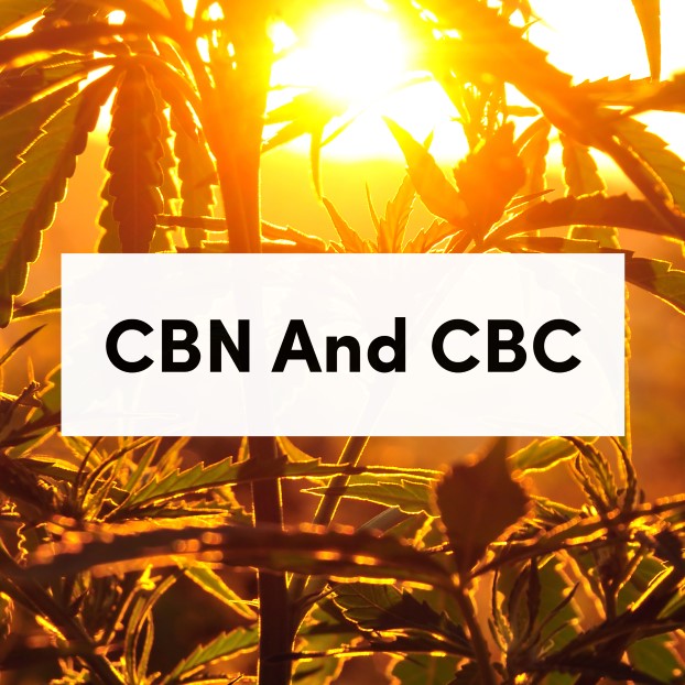 CBN And CBC