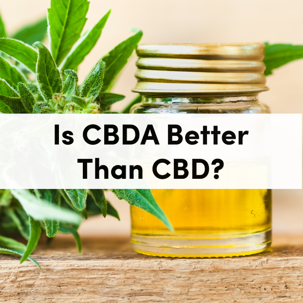 Is CBDA Better Than CBD?