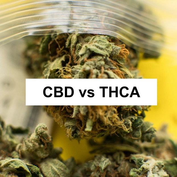 CBD vs THCA