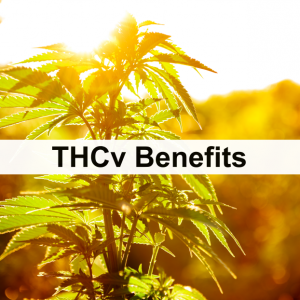 THCv Benefits