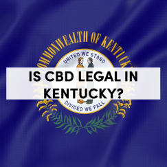 is cbd hemp flower legal in kentucky