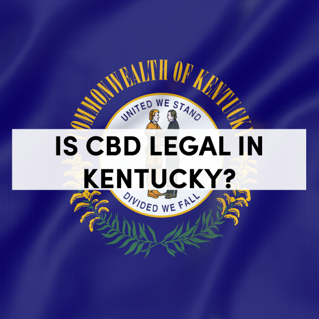 Is CBD Legal in Kentucky?