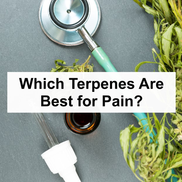 Which Terpenes Are Best for Pain?  